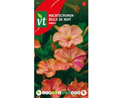 Nachtschonen Marbles Zaden - Bijzondere Geur met Rood-Geel Gestreepte Bloemen