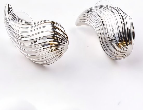 Twee zilverkleurige, gedraaide oorbellen op een witte achtergrond.
