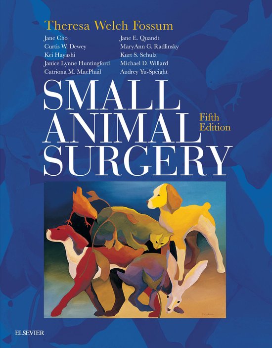 Small Animal Surgery E-Book - cover
