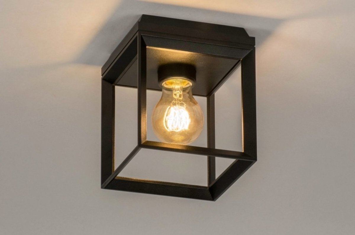 Lumidora Plafondlamp 73092 - Plafonniere - NSFRAME - E27 - Zwart - Metaal