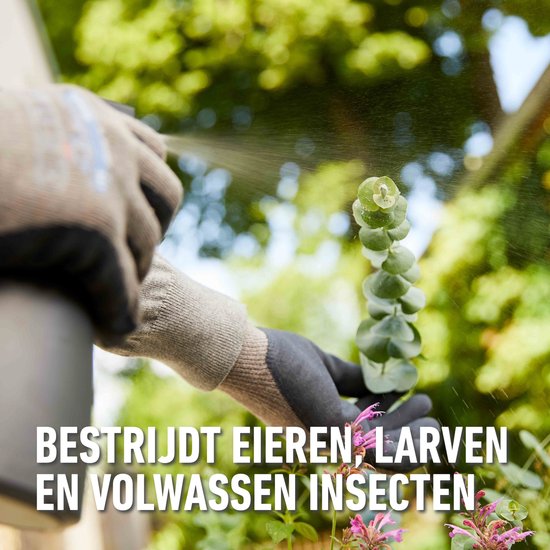 COMPO Bio Insect Stop - biologische insectenbestrijder - bestrijdt eitjes, larven en volwassen insecten - 250 ml