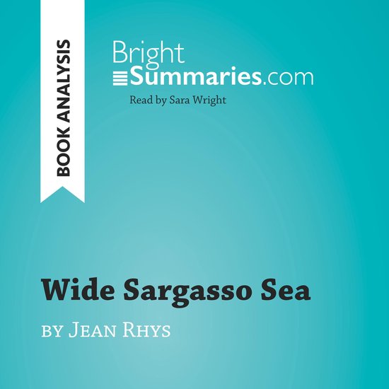 Wide Sargasso Sea by Jean Rhys (Book Analysis) - cover