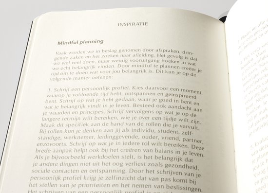 Pagina's met de titel 'Mindful planning' in een Hieroglyphs Bullet Journal.