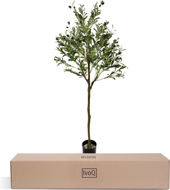 Een kunstmatige olijfboom van 150 cm in een zwarte pot, voor een IvoQ kartonnen doos.
