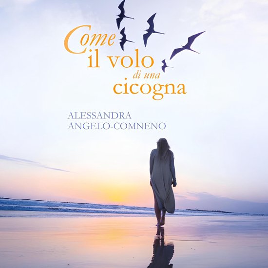Come il volo di una cicogna - cover
