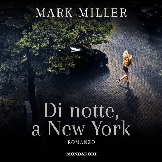 Di notte, a New York - cover