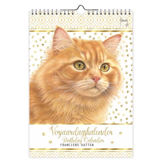 Close-up van een oranje kat met groene ogen, voorgrond van verjaardagskalender.