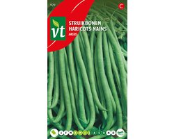 Boon struikboon Argus - Fijne bonen van 15-18 cm lang en 9 mm dik