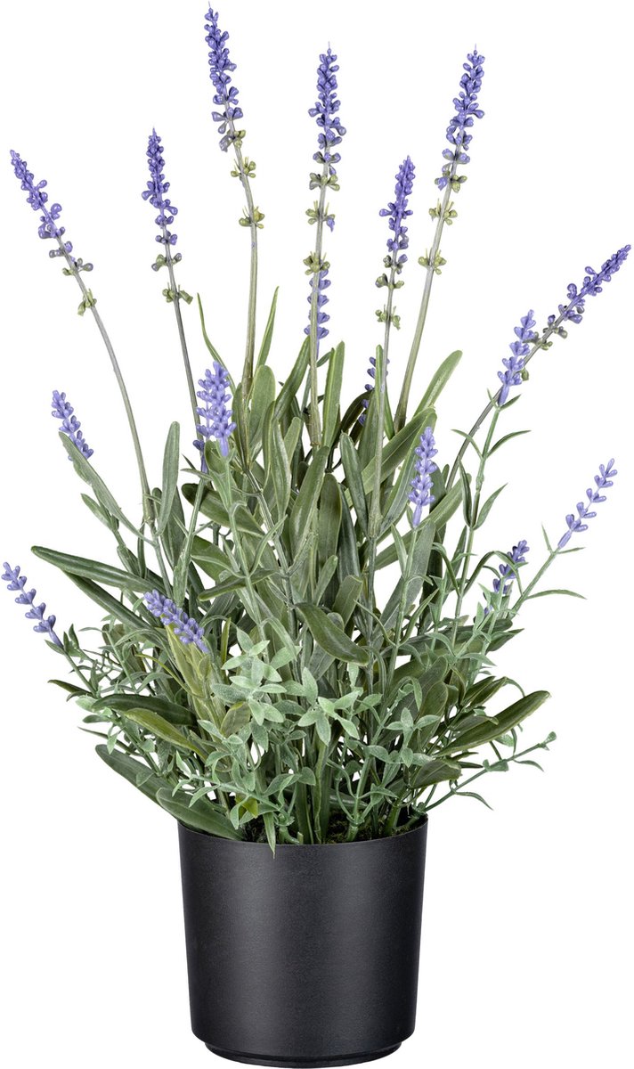 Flourify Kunstplanten - kunstplant - kunstbloemen - lavendel - planten - kunstplant - kunstplanten voor binnen - kunstplant in pot - kunst plant - nep planten –