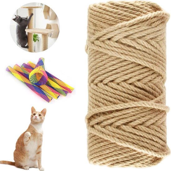 What Is a Sisal? From Plant to Fiber and Its Uses
