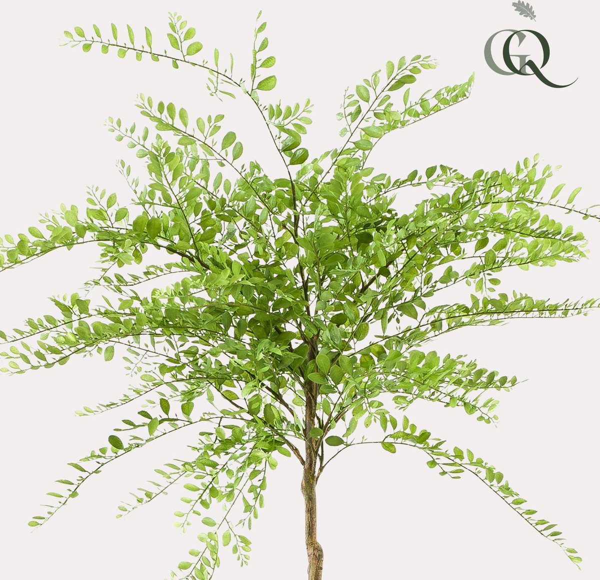 kunstplant - Sophora tree - Honingboom
