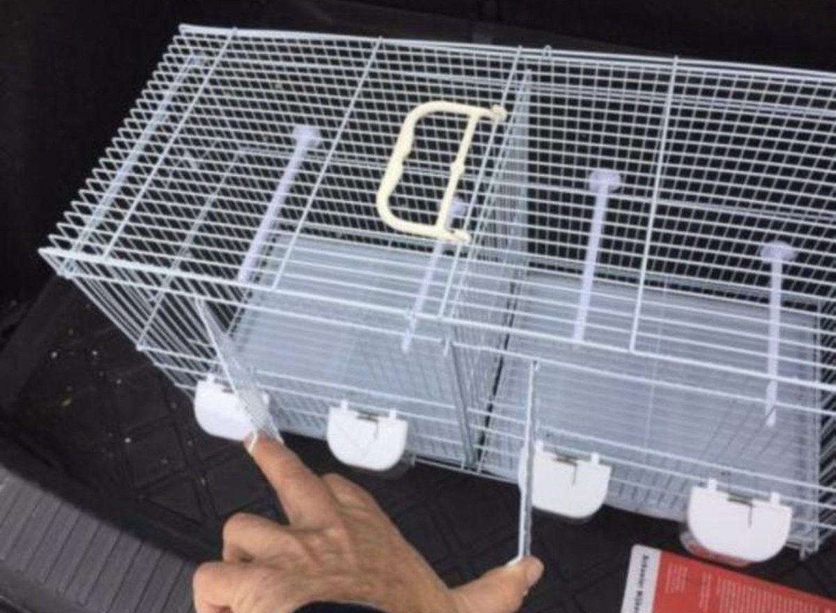Birdtrade - kweekkooien - Broedkooien - Vogelkooi - twee vakken type 4500 thumbnail 5