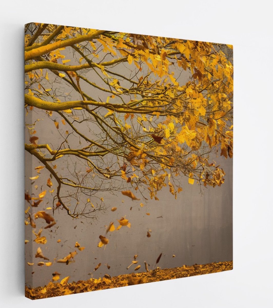 Saammp Canvas Schilderij - Hefst boom - Bladeren - Landschap - Natuur - 30x30 - Foto op canvas - Wanddecoratie - Muurdecoratie Woonkamer - Slaapkamer decoratie - Canvas Print Multicolor
