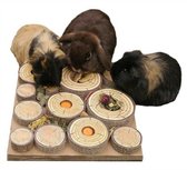 Het leukste cavia speelgoed (x10