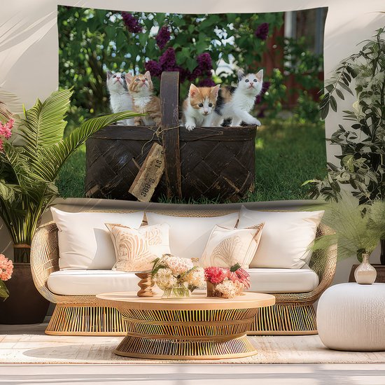 Ulticool - Chat Nature Chats dans un panier pour chat - Affiche murale - 200x150 cm - Groot tapisserie - Affiche de jardin Tapisserie