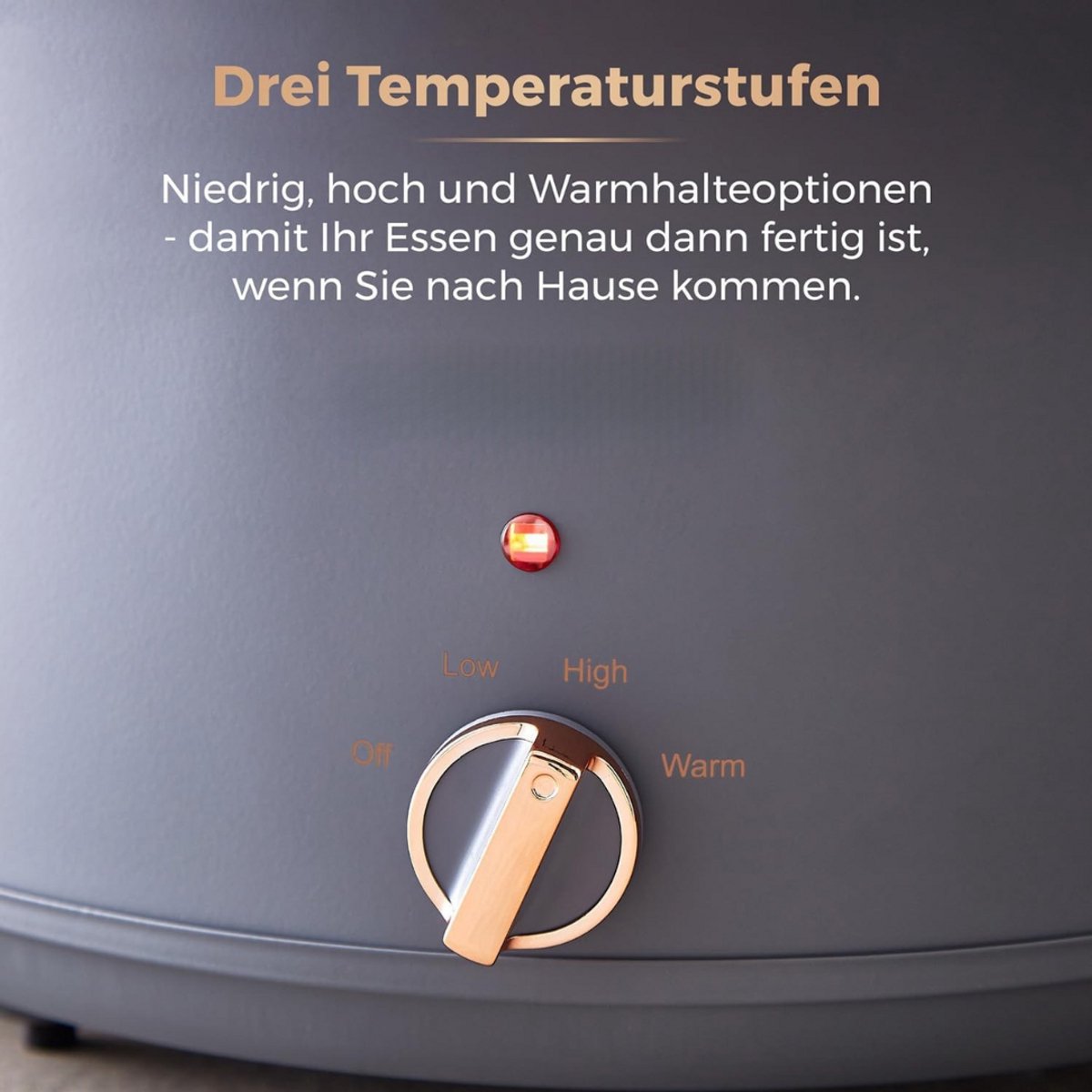 Afbeelding 3 van Slowcooker - Hotpot - Elektrische Slowcooker - Binnenpan - Keramische Binnenpan - Warmhoudfunctie - Snelkookpan - Rijstkoker - RVS