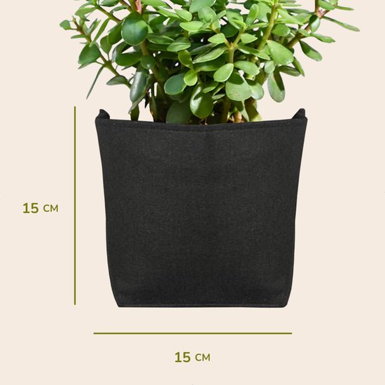 Zwarte vilten plantenpot, 15x15 cm, met een weelderige groene plant.
