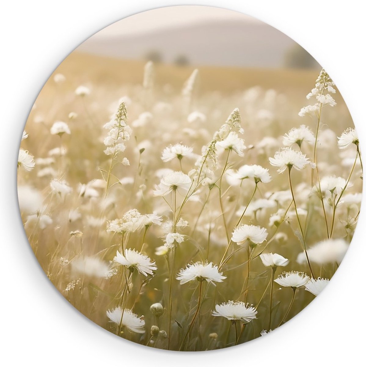 Saammp Muurcirkel Hout - Landschap - Wit - Bloemen van dichtbij - Natuur - Ø 90 - Wandcirkel - Wanddecoratie Cirkel - Muurdecoratie Woonkamer - Slaapkamer decoratie - Rond Schilderij