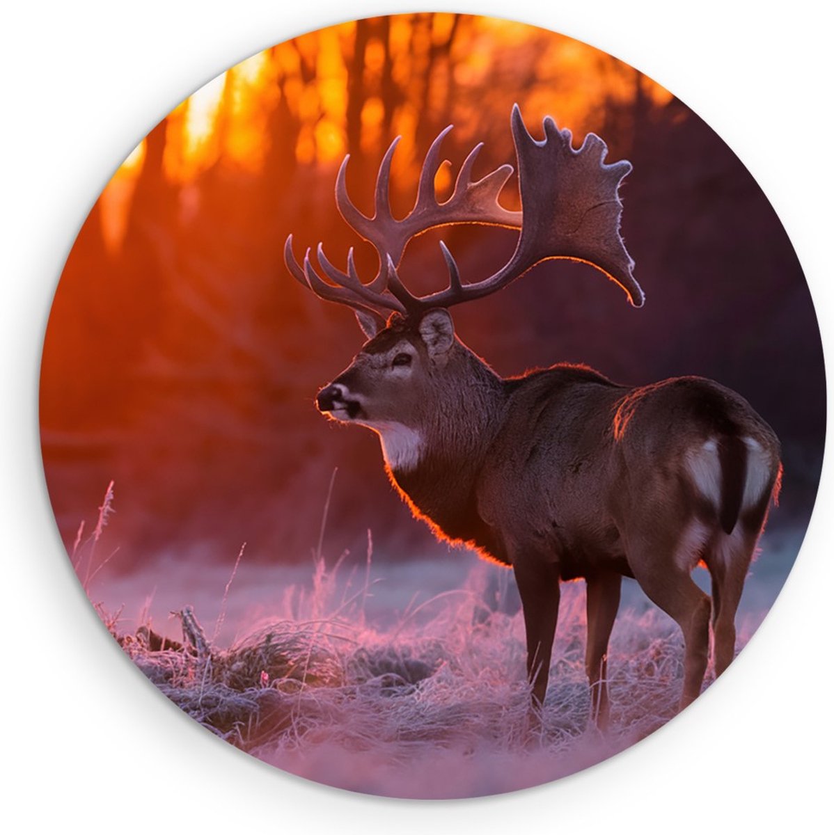 Saammp Muurcirkel Hout - Hert - Portret - Winter - Natuur - Dieren - Ø 80 - Wandcirkel - Wanddecoratie Cirkel - Muurdecoratie Woonkamer - Slaapkamer decoratie - Rond Schilderij