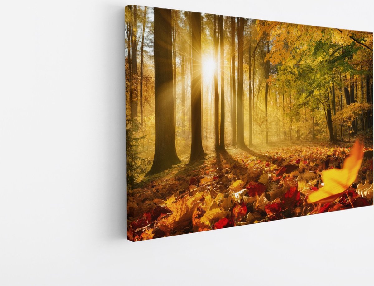 Saammp Canvas Schilderij - Herfstbladeren met zonsopgang - Landschap - Natuur - 120x80 - Foto op canvas - Wanddecoratie - Muurdecoratie Woonkamer - Slaapkamer decoratie - Canvas Print Multicolor