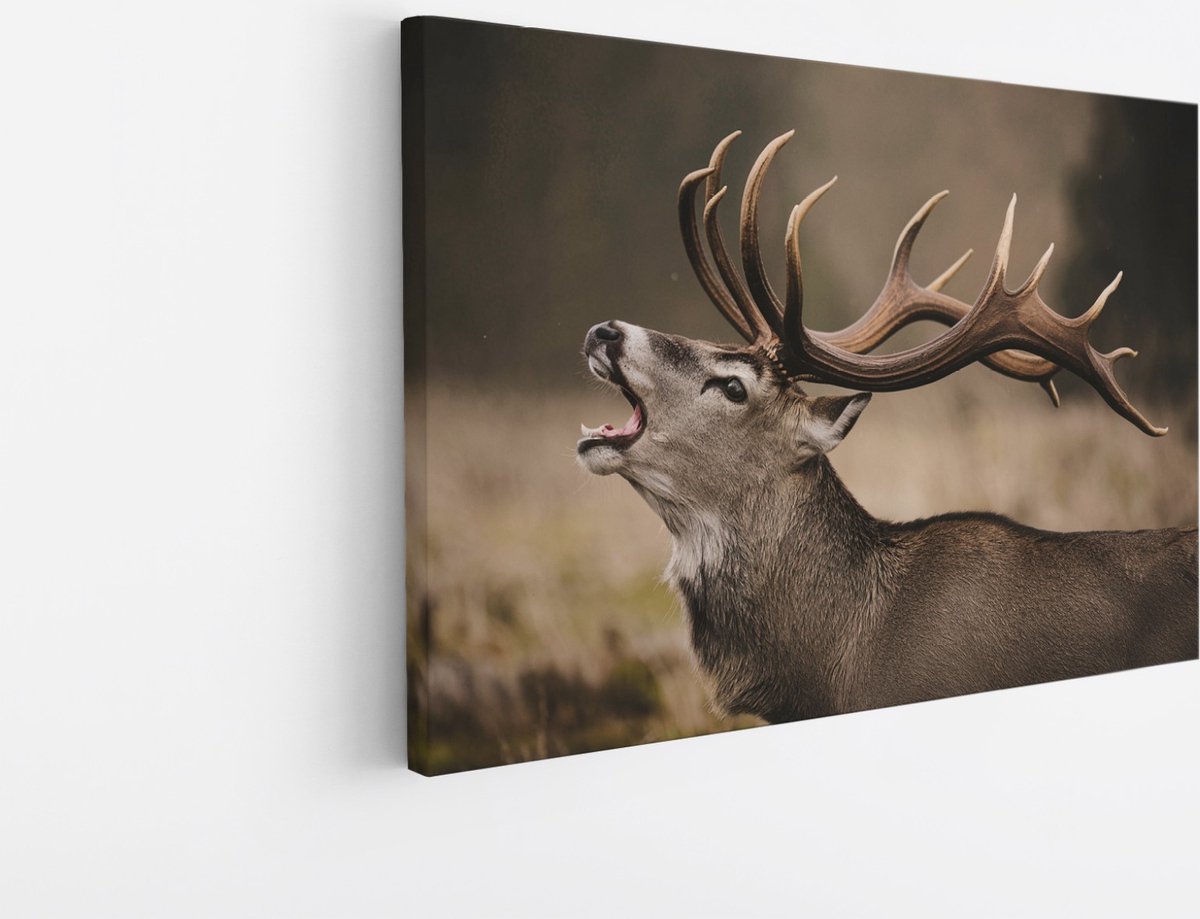 Saammp Canvas Schilderij - Schreeuwend Hert met groot gewei - Natuur - Dieren - 100x75 - Foto op canvas - Wanddecoratie - Muurdecoratie Woonkamer - Slaapkamer decoratie - Canvas Print Multicolor