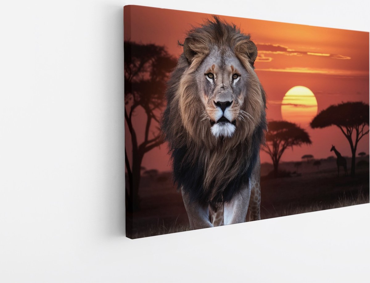 Saammp Canvas Schilderij - Leeuw met afrikaanse zonsondergang - Dieren - Natuur - 50x40 - Foto op canvas - Wanddecoratie - Muurdecoratie Woonkamer - Slaapkamer decoratie - Canvas Print Multicolor
