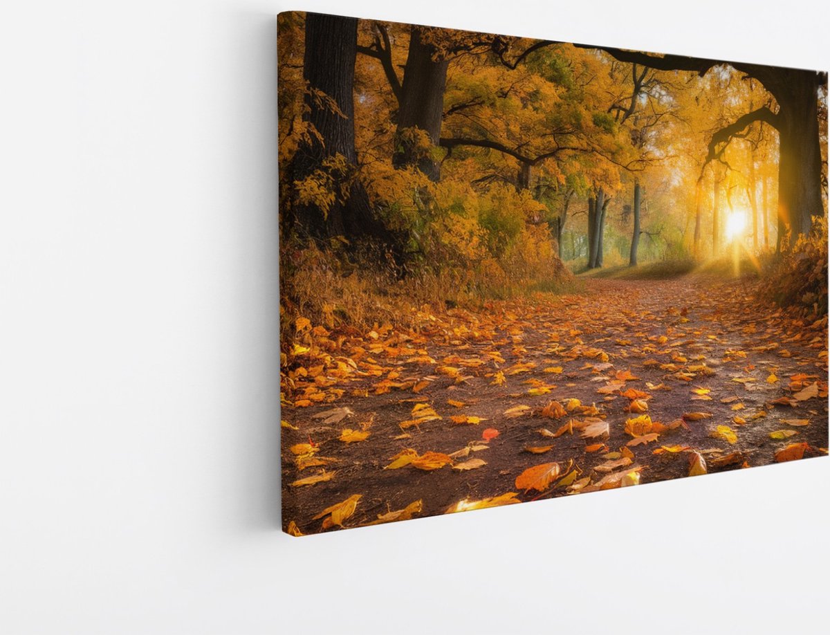 Saammp Canvas Schilderij - herfst pad - Rustgevend - Landschap - Natuur - 150x100 - Foto op canvas - Wanddecoratie - Muurdecoratie Woonkamer - Slaapkamer decoratie - Canvas Print Multicolor