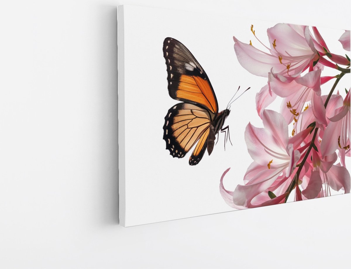 Saammp Canvas Schilderij - Vlinder op roze bloem - Landschap - Natuur - 45x30 - Foto op canvas - Wanddecoratie - Muurdecoratie Woonkamer - Slaapkamer decoratie - Canvas Print Multicolor