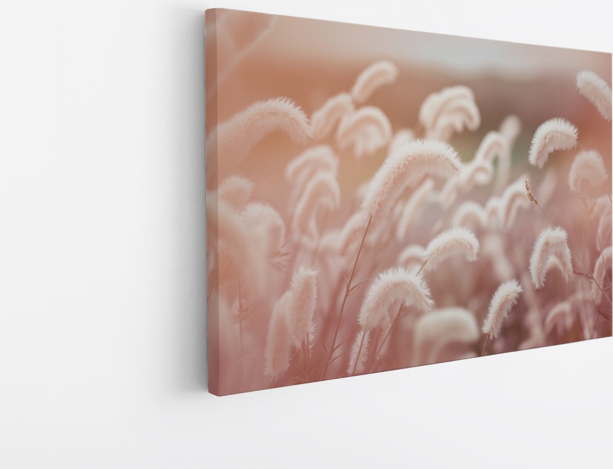 Saammp Canvas Schilderij - Roze fluffy Bloemen - Abstract - 70x50 - Foto op canvas - Wanddecoratie - Muurdecoratie Woonkamer - Kantoor Decoratie Multicolor