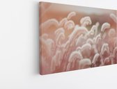Saammp Canvas Schilderij - Roze fluffy Bloemen - Abstract - 70x50 - Foto op canvas - Wanddecoratie - Muurdecoratie Woonkamer - Kantoor Decoratie
