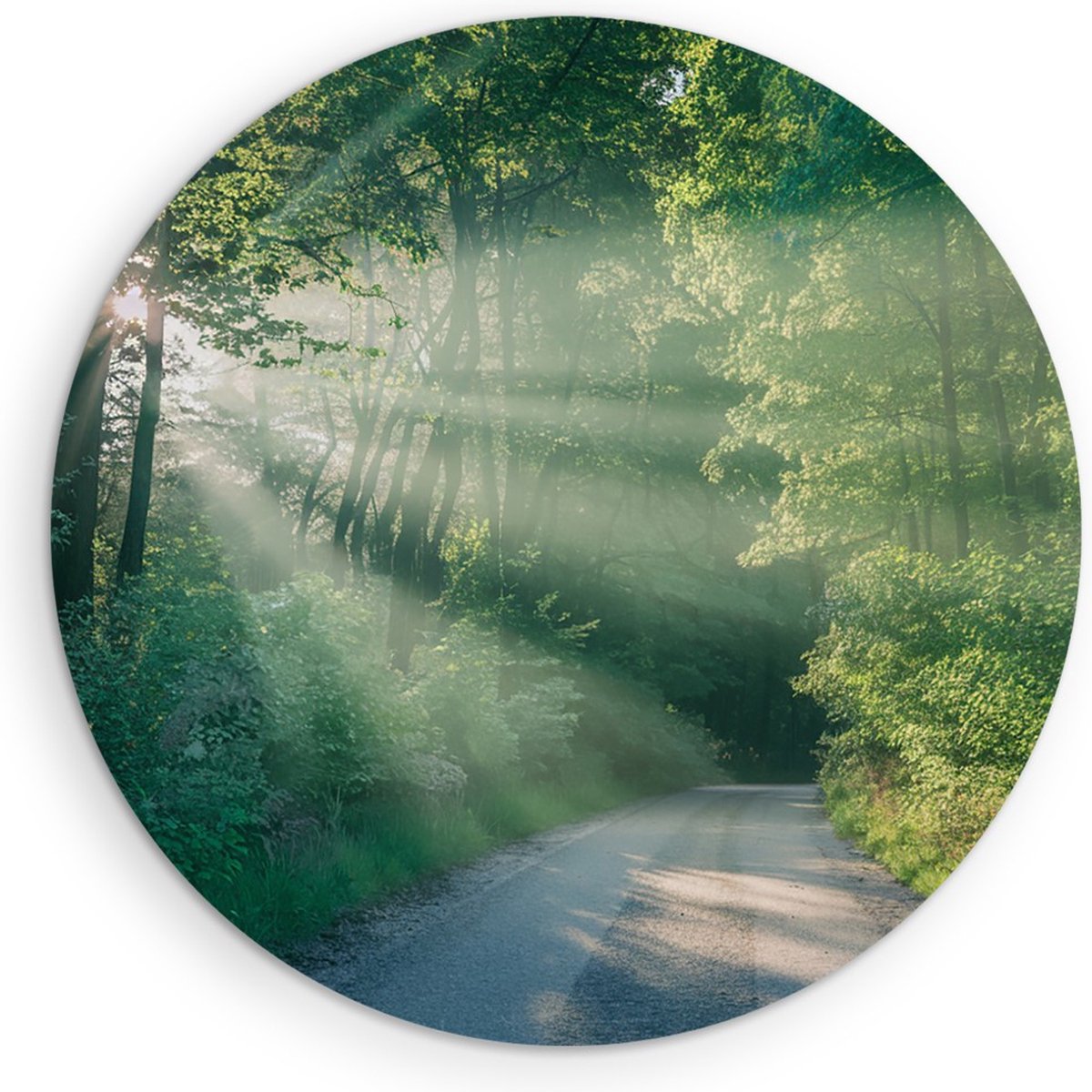 Saammp Forex Muurcirkel - bos - Pad met zonsondergang - Landschap - Natuur - Ø 40 - Wandcirkel - Wanddecoratie Cirkel - Muurdecoratie Woonkamer - Slaapkamer decoratie - Rond Schilderij