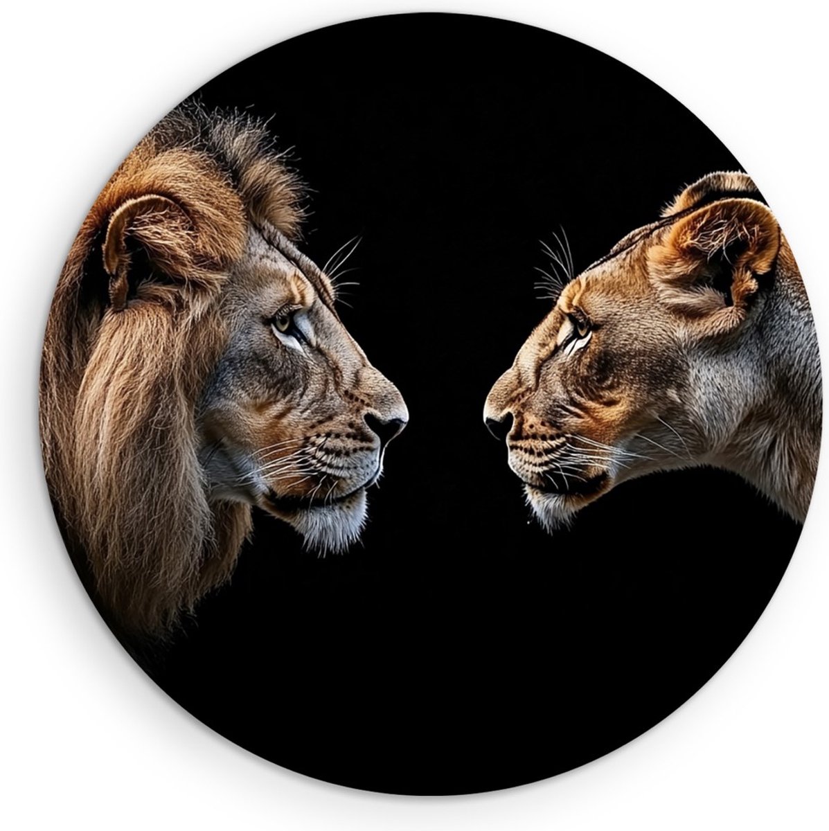Saammp Forex Muurcirkel - Leeuw en leeuwin kijken naar elkaar - Dieren - Abstract - Ø 60 - Wandcirkel - Wanddecoratie Cirkel - Muurdecoratie Woonkamer - Slaapkamer decoratie - Rond Schilderij