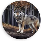 Saammp Muurcirkel Hout - Wolf in het bos - Dieren - Natuur - Ø 60 - Wandcirkel - Wanddecoratie Cirkel - muurdecoratie Woonkamer - Slaapkamer decoratie - Rond Schilderij