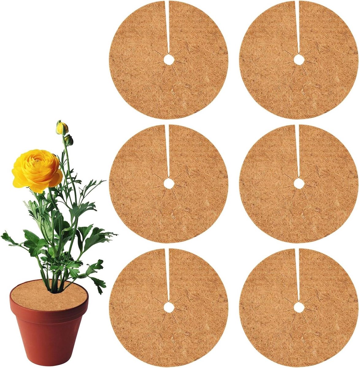 40 cm kokosmat - 100% biologische winterbescherming - duurzame plantenbescherming - vorstbescherming - 6 stuks .