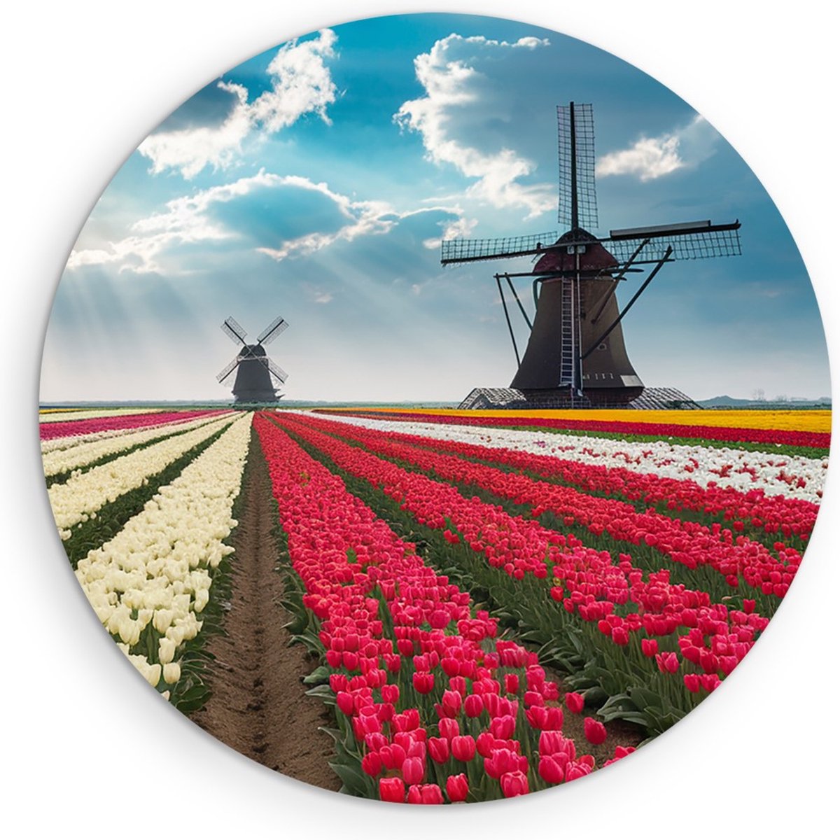 Saammp Muurcirkel Hout - Kleurrijk Tulpenveld - Natuur - Landschap - Ø 30 - Wandcirkel - Wanddecoratie Cirkel - Muurdecoratie Woonkamer - Slaapkamer decoratie - Rond Schilderij