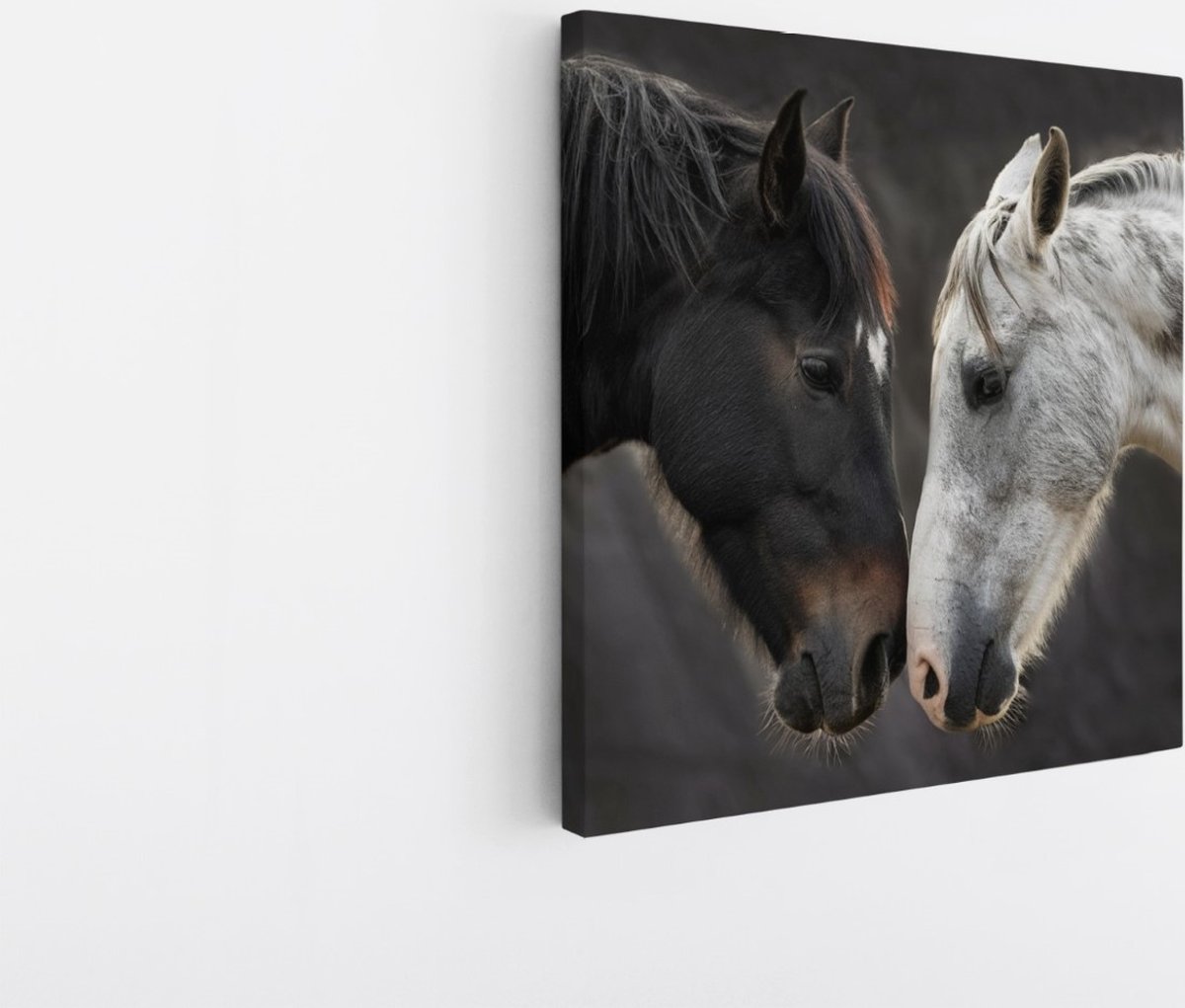 Saammp Canvas Schilderij - 2 Paarden - Liefdevol - Dieren - Natuur - 40x40 - Foto op canvas - Wanddecoratie - muurdecoratie Woonkamer - Slaapkamer decoratie - Canvas Print Multicolor