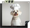 Chien - Cuisinier, Blanc