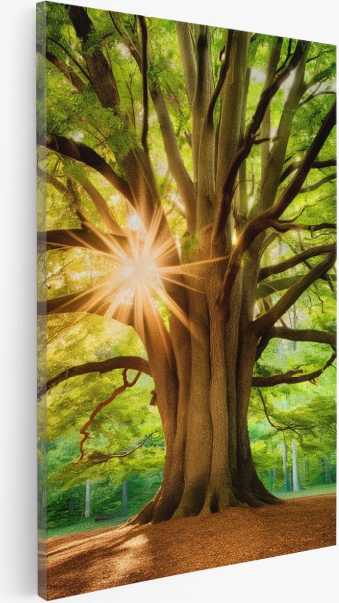 Saammp Canvas Schilderij - Grote Boom met tijdens goldenhour - Natuur - Landschap - 20x30 - Foto op canvas - Wanddecoratie - Muurdecoratie Woonkamer - Slaapkamer decoratie - Canvas Print Multicolor