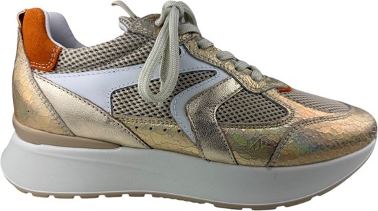 Baskets Nero Giardini Goud 38