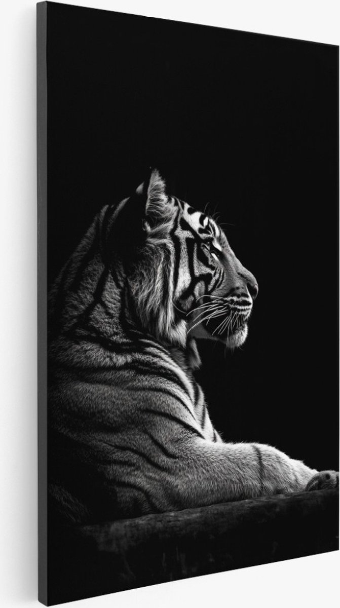Saammp Canvas Schilderij - Tijger in de schaduw - Natuur - Dieren - 30x45 - Foto op canvas - Wanddecoratie - Muurdecoratie Woonkamer - Slaapkamer decoratie - Canvas Print Multicolor