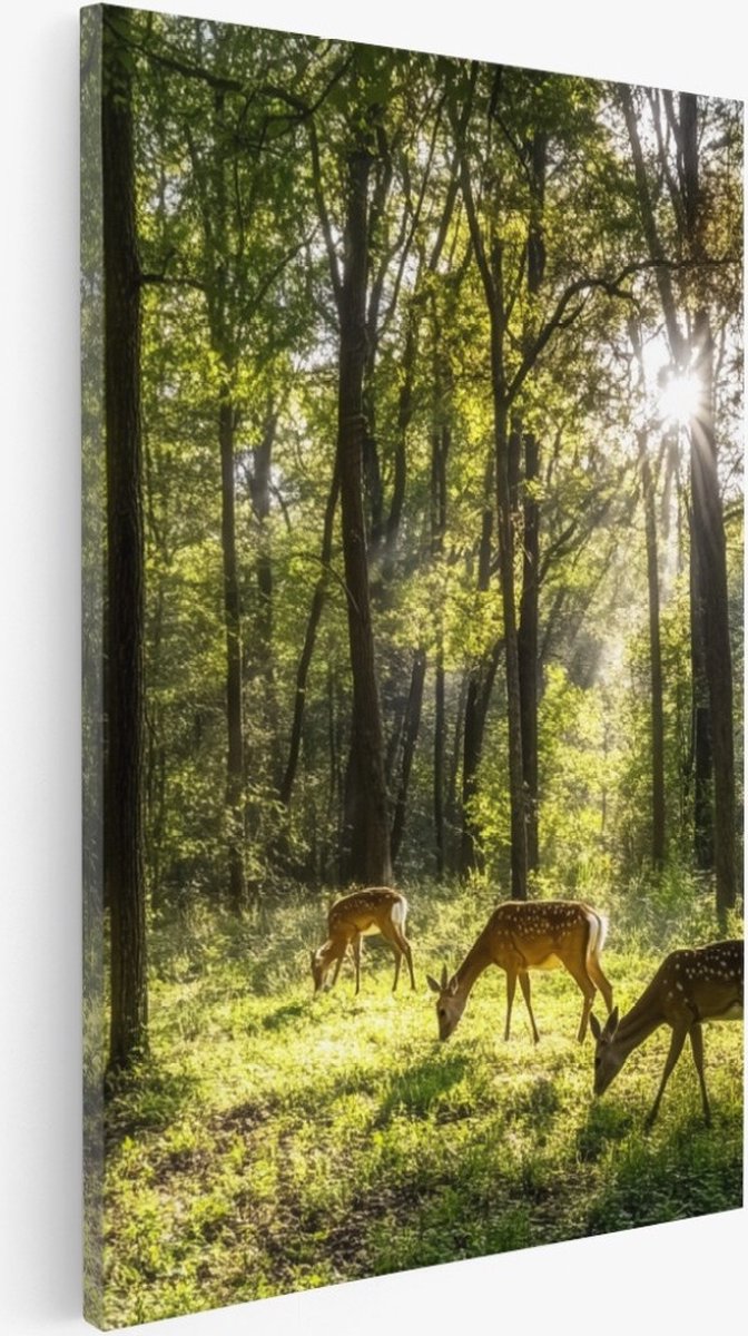 Saammp Canvas Schilderij - Natuur - 2 Bomen op Rotsen - landschappen - 30x45 - Foto op canvas - Wanddecoratie - Muurdecoratie Woonkamer - Slaapkamer decoratie - Canvas Print Multicolor