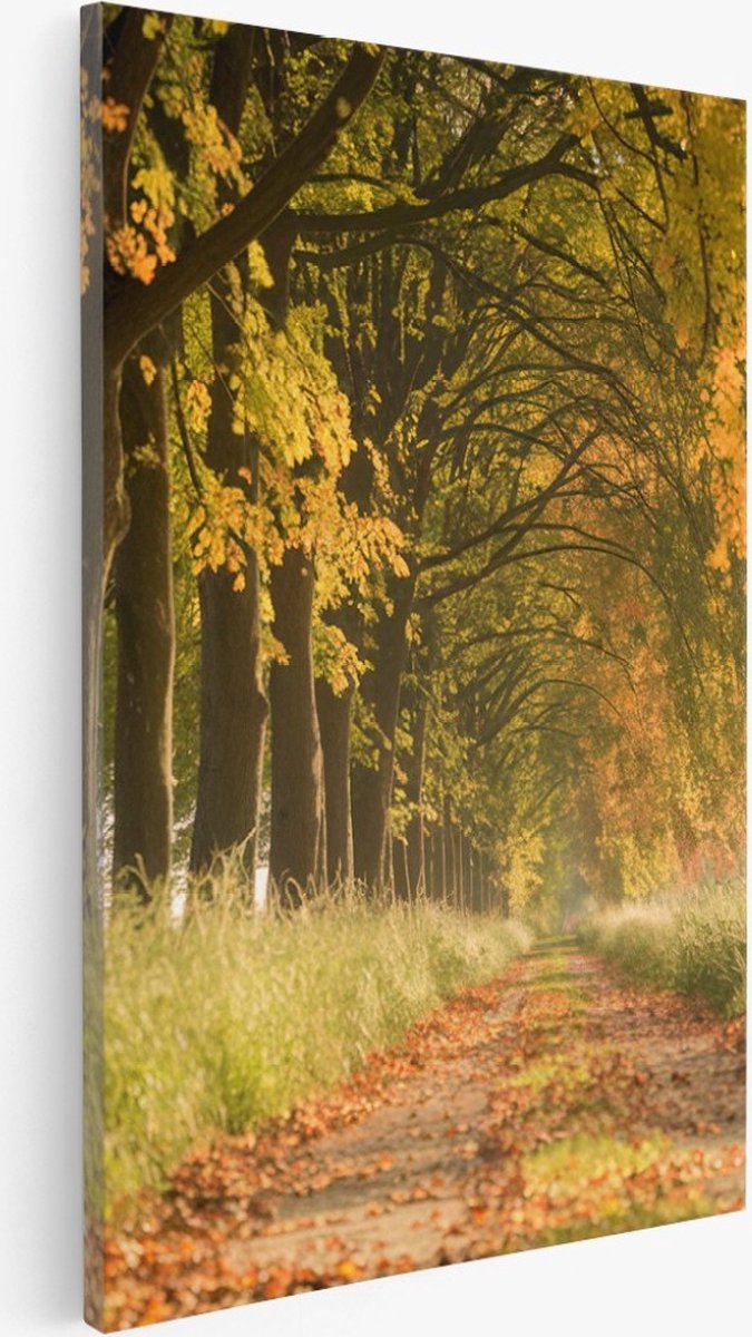 Saammp Canvas Schilderij - Bospad - Nederland - Landschap - Natuur - 75x100 - Foto op canvas - Wanddecoratie - Muurdecoratie Woonkamer - Slaapkamer decoratie - Canvas Print Multicolor