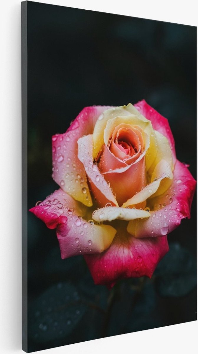 Saammp Canvas Schilderij - Roze roos - Bloemen - 80x120 - Foto op canvas - Wanddecoratie - Muurdecoratie Woonkamer - Kantoor Decoratie Multicolor