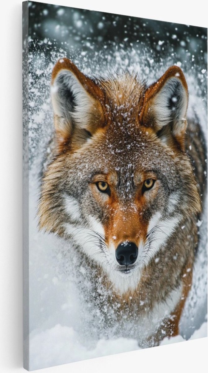 Saammp Canvas Schilderij - Wolf in de sneeuw - Dieren - Natuur - 40x60 - Foto op canvas - Wanddecoratie - Muurdecoratie Woonkamer - Slaapkamer decoratie - Canvas Print Multicolor