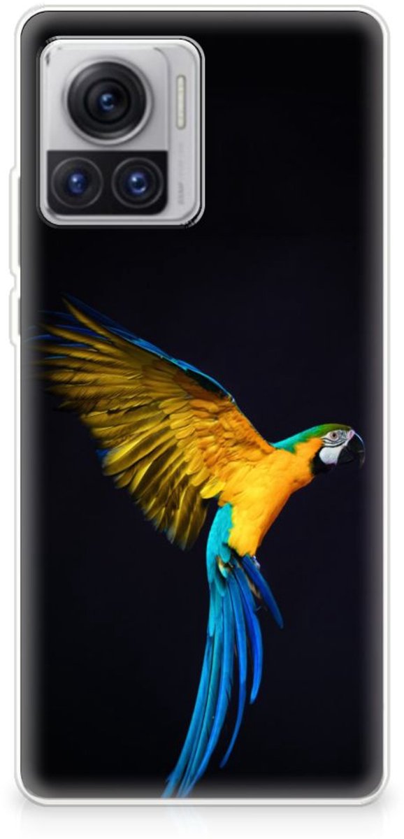 Motorola Moto X30 Pro TPU Hoesje Papegaai