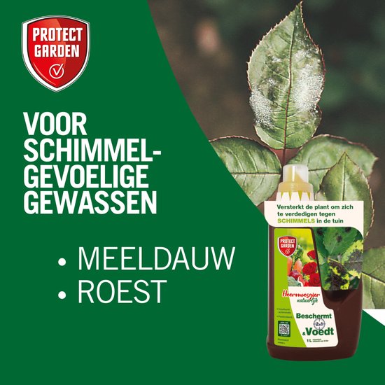 Protect Garden Heermoesgier - 1 L - Voor alle soorten Teelten - 100% Plantaardig - Voor Schimmelgevoelige Gewassen van Merkloos	 — afbeelding 3