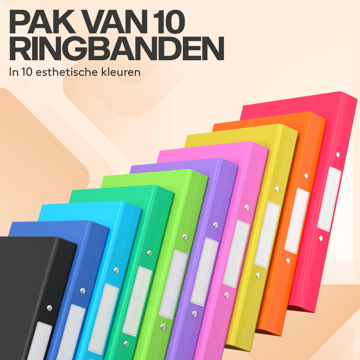Ringmappe A4, 20mm, 2-Ring, grün | NewCO VertriebsGmbH Ringmappe A4, 20mm, 2-Ring, grün | NewCO VertriebsGmbH