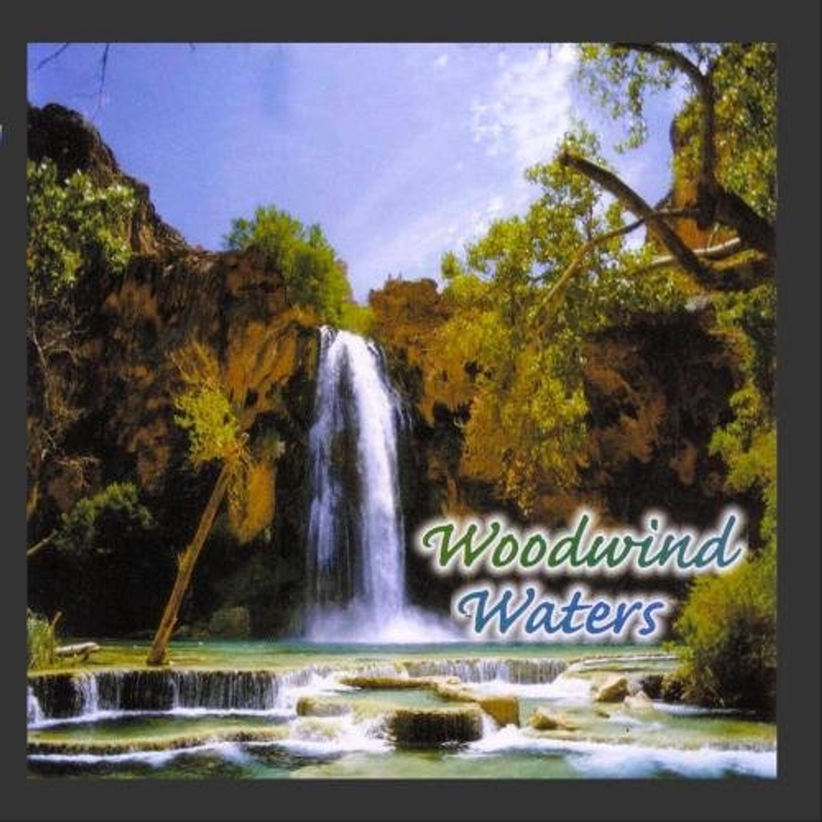 1-CD Various - Woodwind Waters (1996)