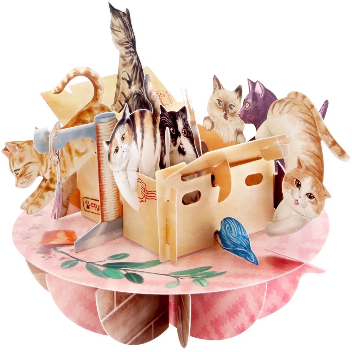 Wenskaart - Pirouettes 3D - SPS088 - Purrrfect Parcel - Poezen