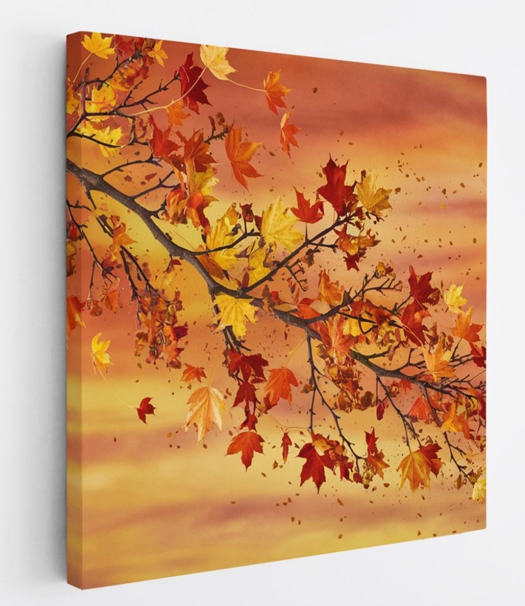 Saammp Canvas Schilderij - herfst tak - Abstract - 20x20 - Foto op canvas - Wanddecoratie - Muurdecoratie Woonkamer - Slaapkamer decoratie - Canvas Print Multicolor